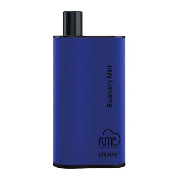 Blueberry Mint Fume Infinity