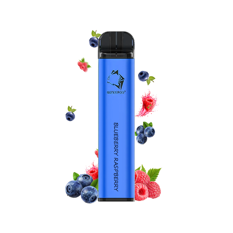 GUNNPOD 2000 & BLUEBERRY RASPBERRY