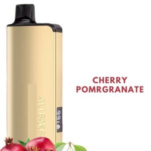 ALIBARBAR INGOT – CHERRY POMEGRANATE – 9000 PUFFS