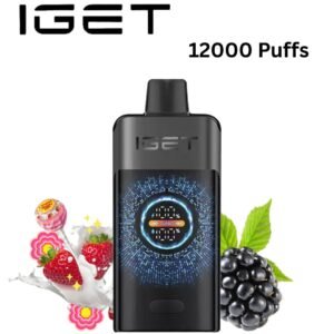 IGET ONE – CHUPA CHUPS BLACKBERRY – 12000 PUFFS