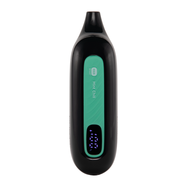 Mint Chill FLONQ Max Smart - Image 8