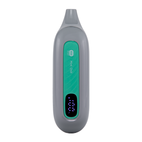 Mint Chill FLONQ Max Smart - Image 5