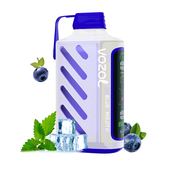 VOZOL 20000 & BLUE MOJITO