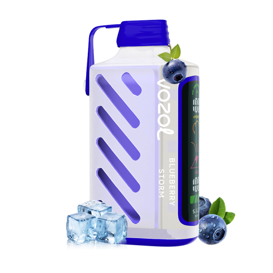 VOZOL 20000 & BLUEBERRY STORM
