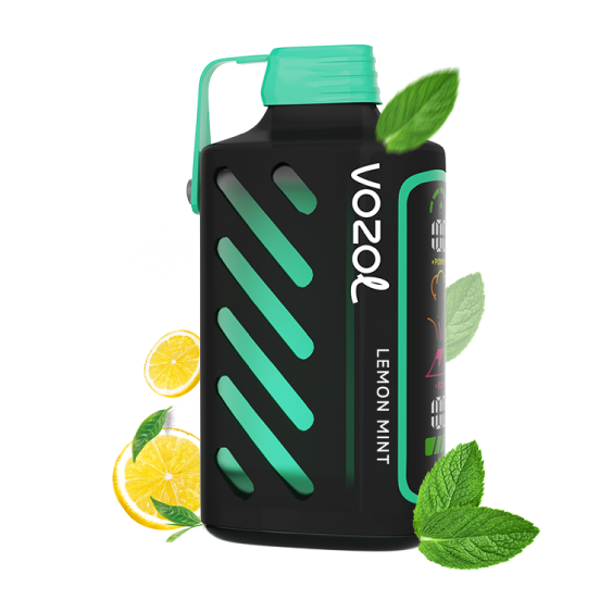 VOZOL 20000 & LEMON MINT