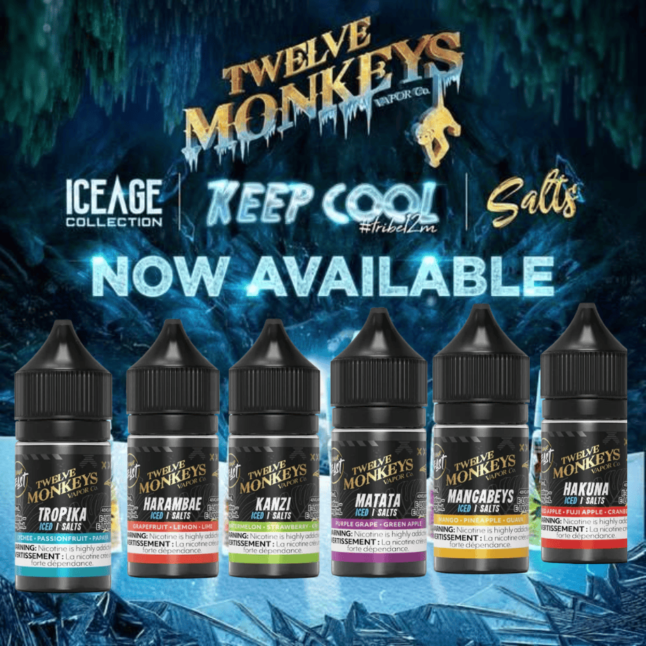 Twelve Monkeys Salt 30ml – Matata Ice - Image 2
