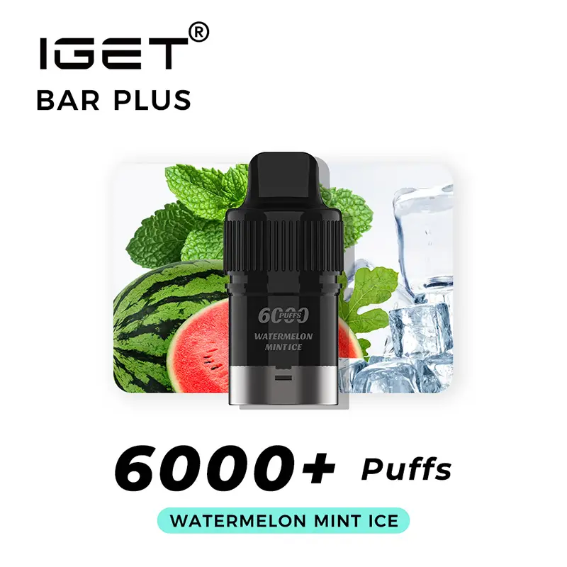 IGET Bar Plus 6000 Pod – Watermelon Mint Ice
